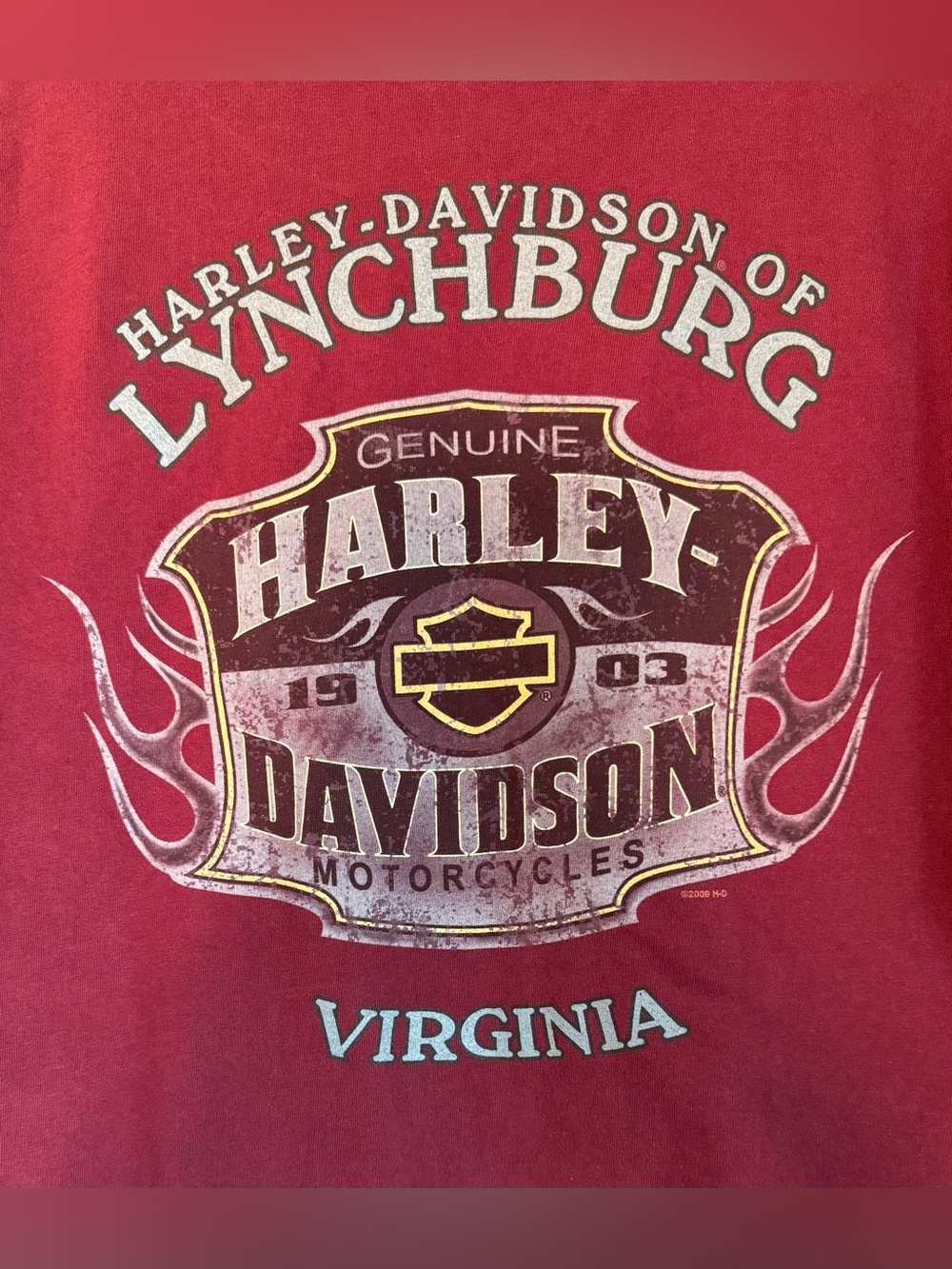 Harley-Davidson Tee Lynchburg Virginia Graphic Short Sleeve XL Burgundy USA 2009 - Picture 3 of 15